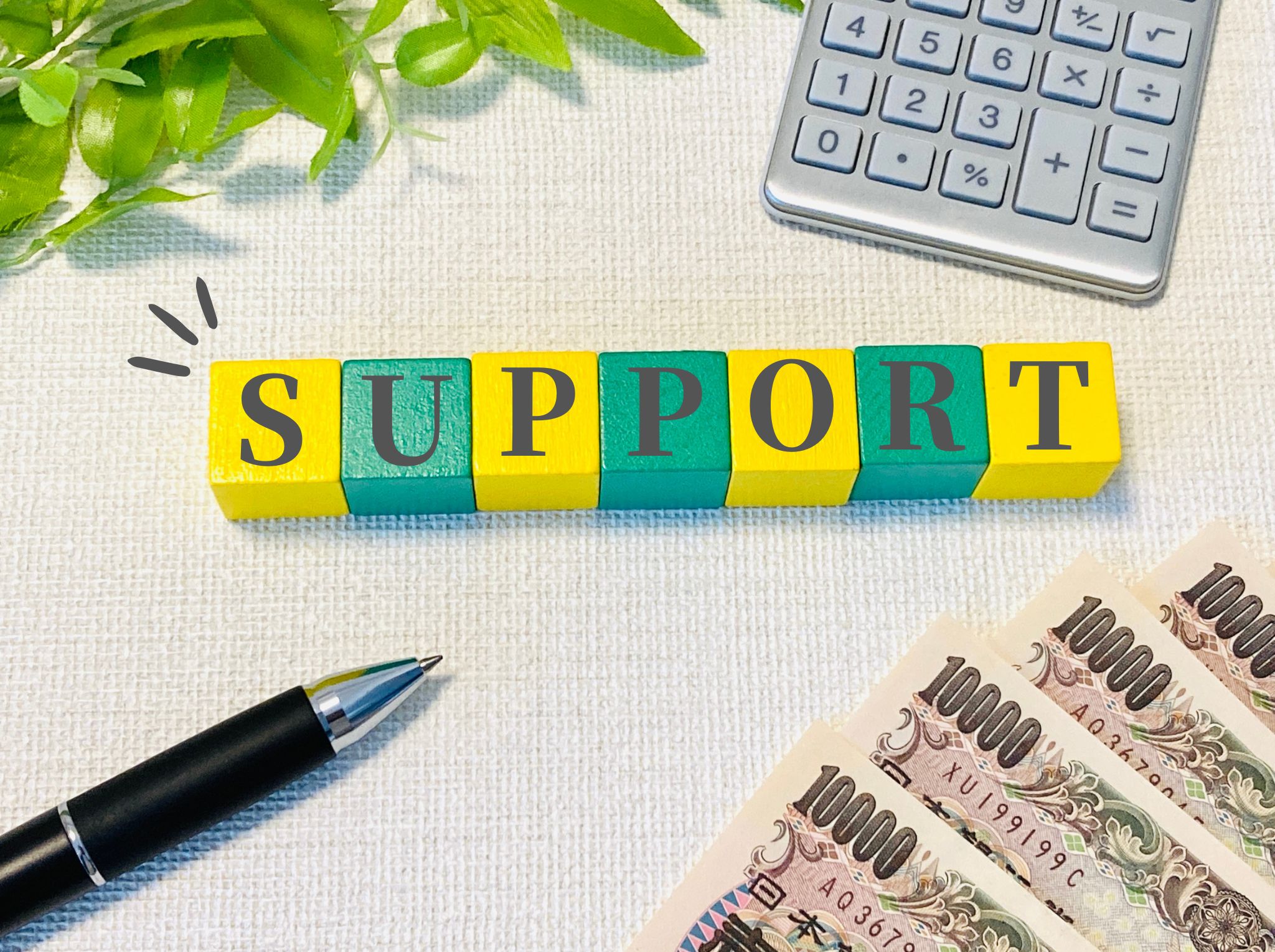 25535984_l 株式会社マネジメントパートナーズ